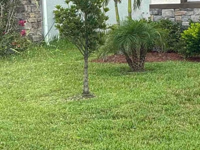 Lawn Care service in Kingston, 12401