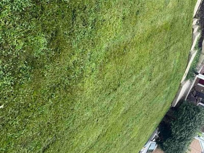 Lawn Care service in Florence, 41042