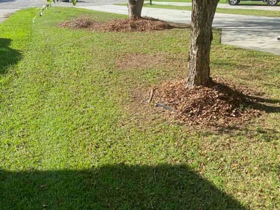 Lawn Care service in North Charleston, 29406