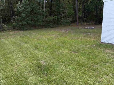 Lawn Care service in North Charleston, 29406