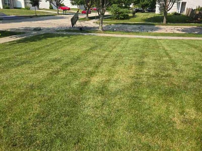 Lawn Care service in Crystal Lake, 60014
