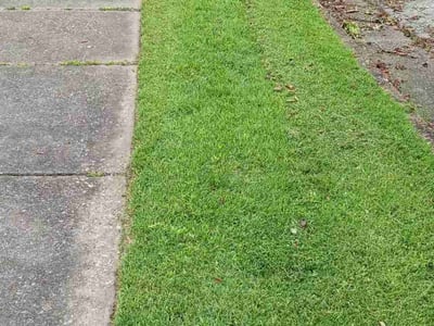 Lawn Care service in Collierville, 38017