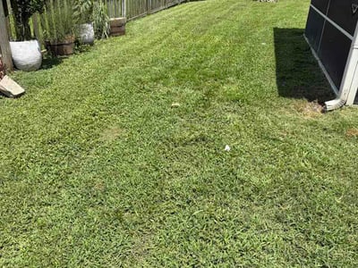 Lawn Care service in LaFayette, 30728