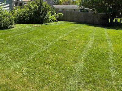 Lawn Care service in Roselle, 60172