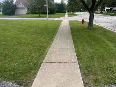 Lawn Care service in Roselle, 60172