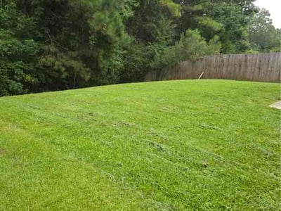 Lawn Care service in Goose Creek, 29445