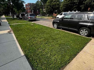 Lawn Care service in Elk Grove Village, 60007