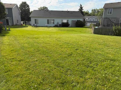 Lawn Care service in Elk Grove Village, 60007