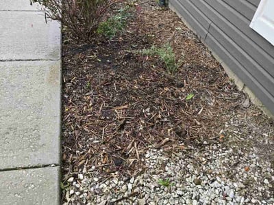 Lawn Care service in Elk Grove Village, 60007