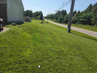 Lawn Care service in Burlington, 41005