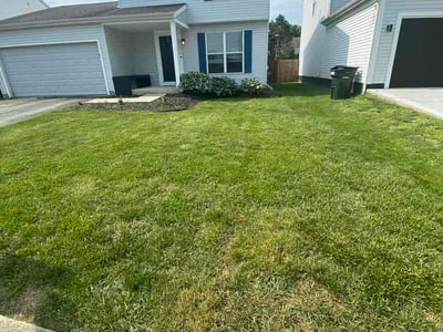 Lawn Care service in Voorhees, 08043