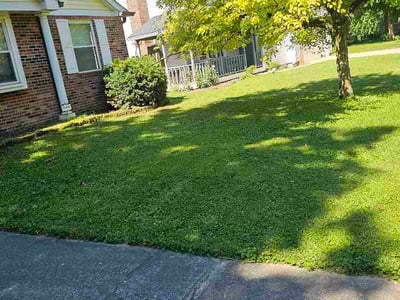 Lawn Care service in Voorhees, 08043