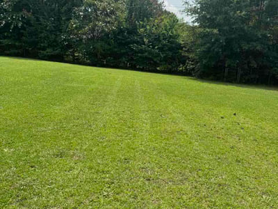 Lawn Care service in Williamston, 29697