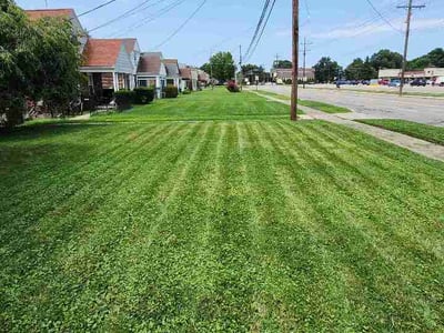 Lawn Care service in Lebanon, 45036