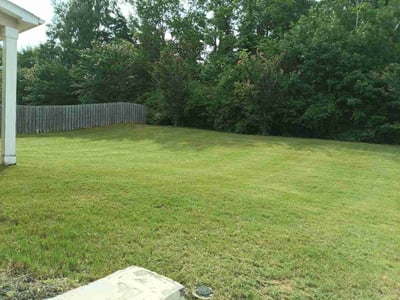 Lawn Care service in Williamston, 29697