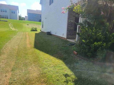 Lawn Care service in York, 29745