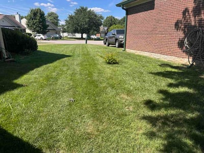Lawn Care service in Ashland, 41101