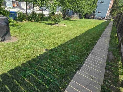 Lawn Care service in Oak Forest, 60452