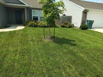 Lawn Care service in ,