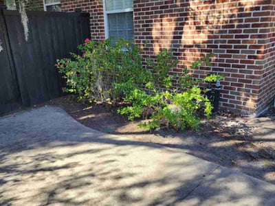Lawn Care service in Beaufort, 29902