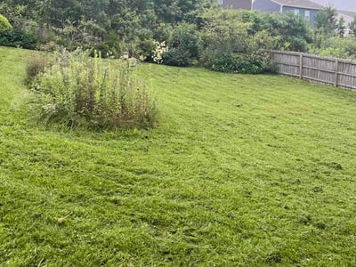 Lawn Care service in Harriman, 37748