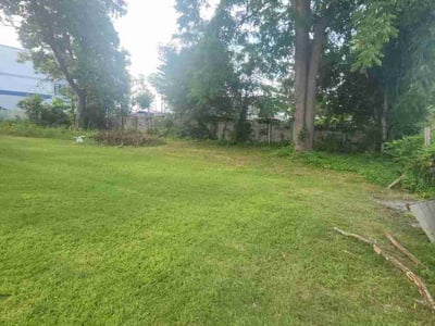 Lawn Care service in Medford, 08055