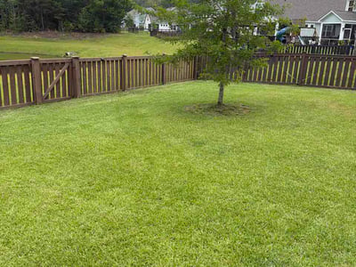 Lawn Care service in Shallotte, 28470