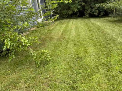 Lawn Care service in Evergreen Park, 60805