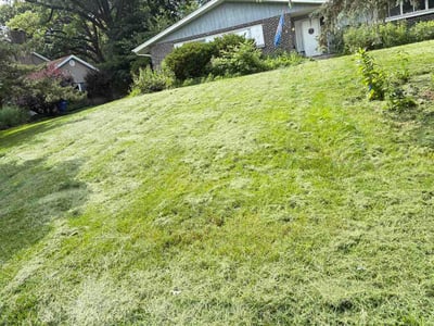 Lawn Care service in Evergreen Park, 60805