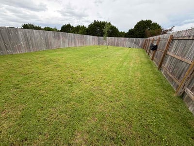Lawn Care service in Killeen, 76541