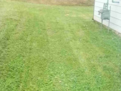 Lawn Care service in Sudbury, 01776