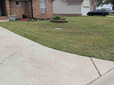 Lawn Care service in Travelers Rest, 29690
