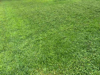 Lawn Care service in Horn Lake, 37160
