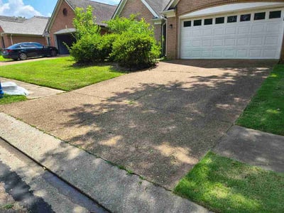 Lawn Care service in Cordova, 38018