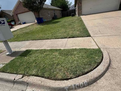 Lawn Care service in Greenwich, 06830