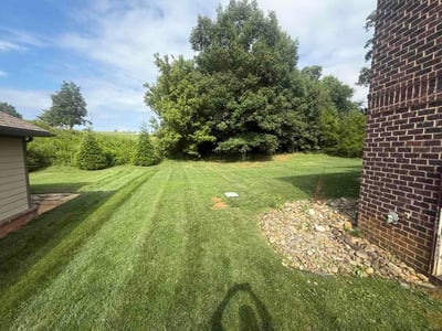 Lawn Care service in Lenoir City, 37771