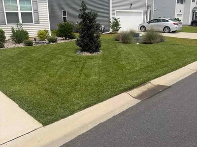 Lawn Care service in North Myrtle Beach, 29582