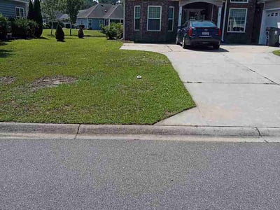 Lawn Care service in Longs, 29568