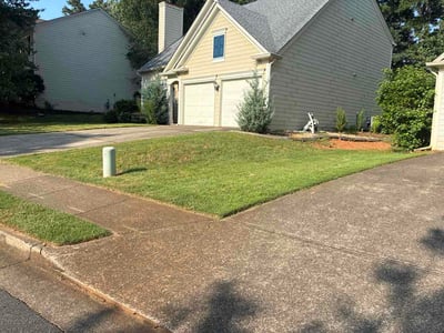 Lawn Care service in North Myrtle Beach, 29582