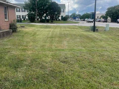 Lawn Care service in Rock Hill, 29730