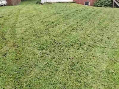 Lawn Care service in Rogersville, 37857
