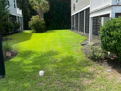 Lawn Care service in Mount Pleasant, 29464
