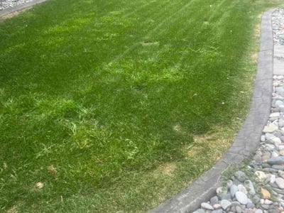 Lawn Care service in Thornton, 80229