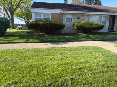 Lawn Care service in Palatine, 60074