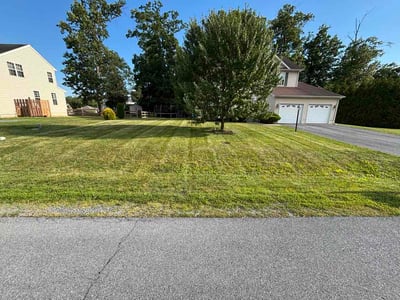 Lawn Care service in Martinsburg, 25401