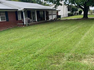 Lawn Care service in La Follette, 37766