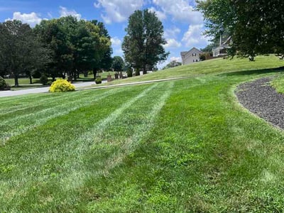Lawn Care service in Bristol, 37620