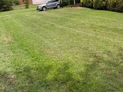 Lawn Care service in Greer, 29651