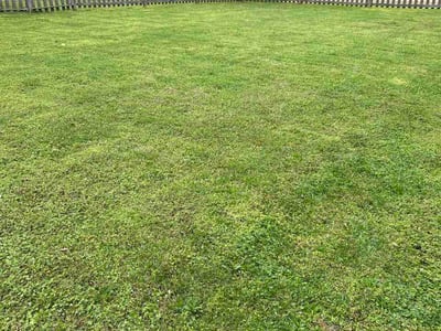Lawn Care service in Hixson, 37343