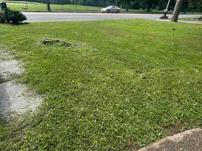 Lawn Care service in Dunlap, 37327